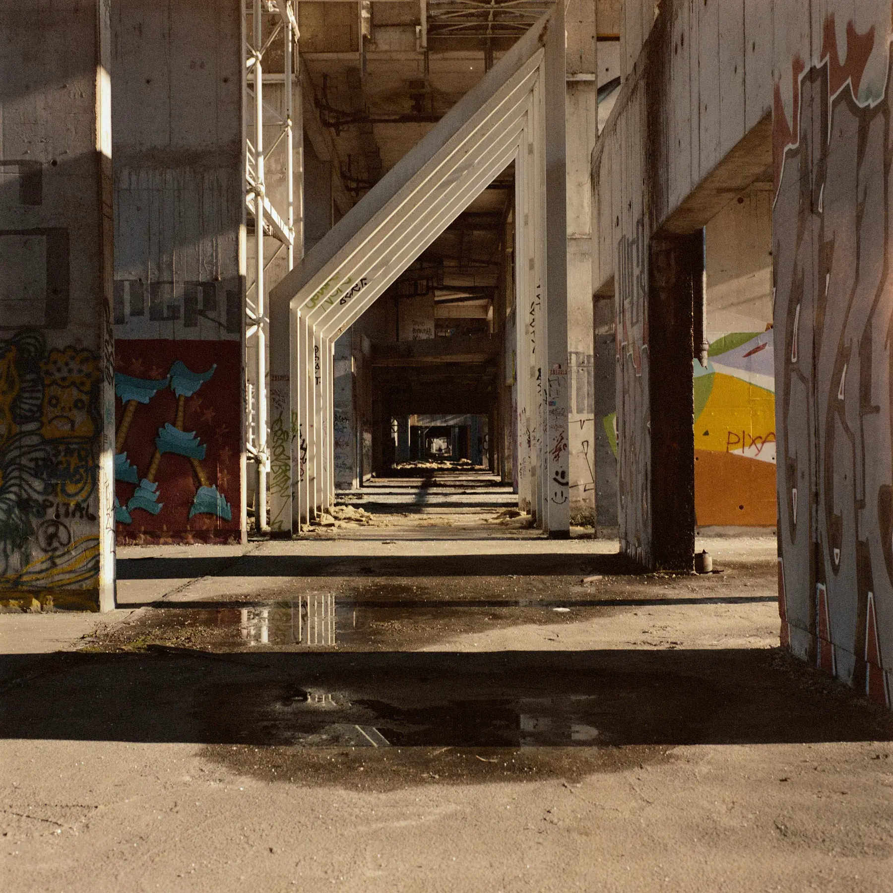 Down the Maze — film photograph by Darko Ronić