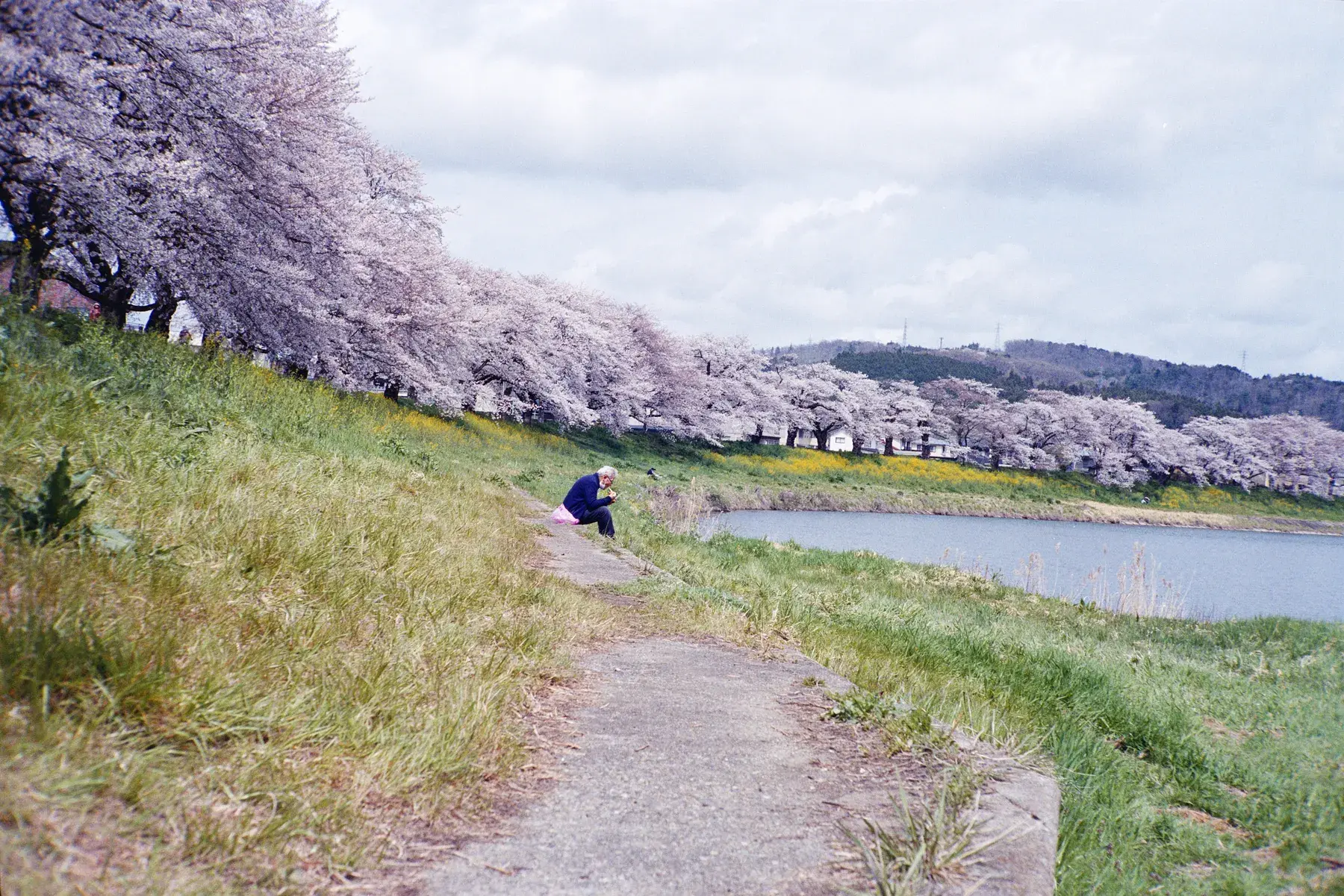 Shiroishi River Bank — film photograph by Darko Ronić