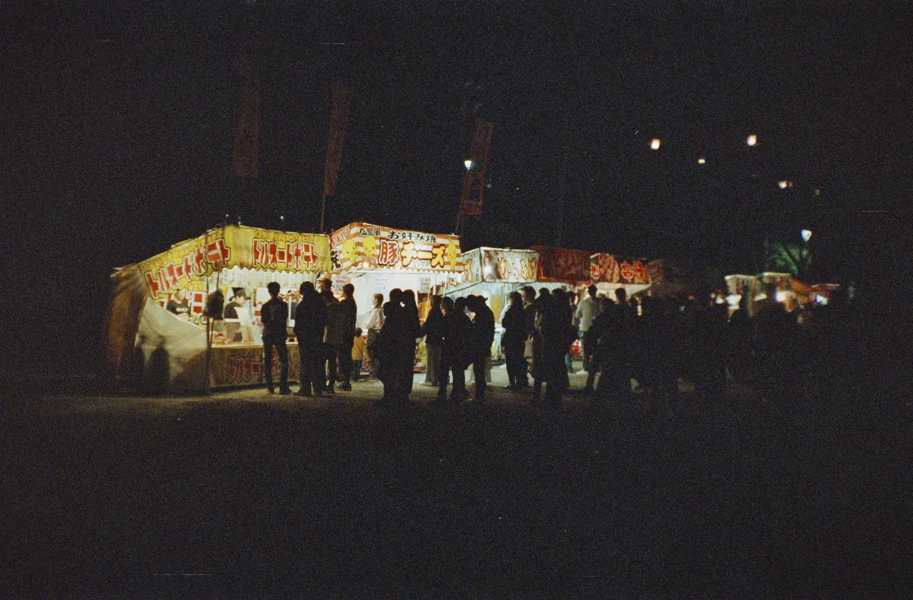 Morioka Castle at Night — film photograph by Darko Ronić