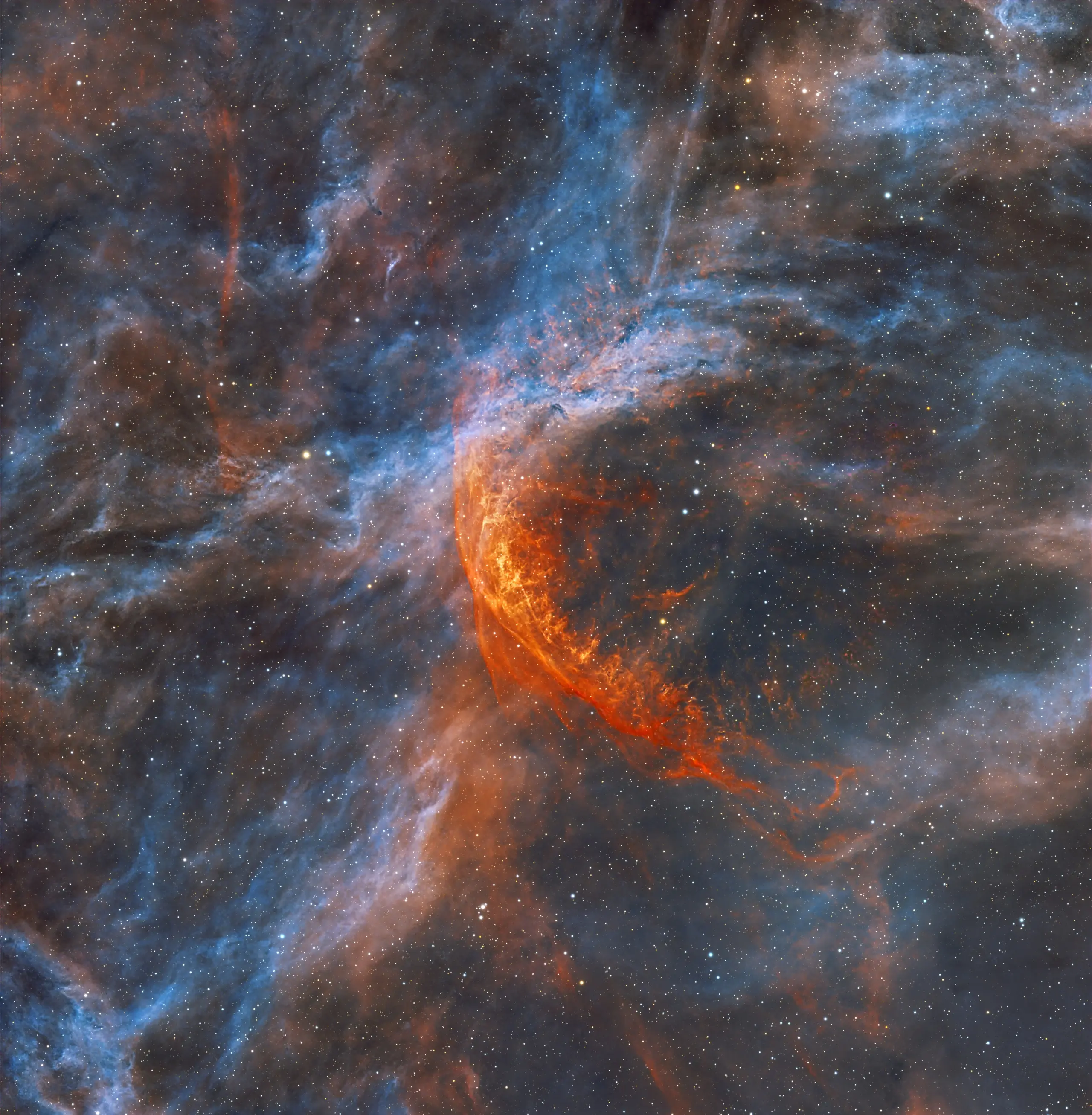 Shai-Hulud Devours the Cygnus Clouds — NGC 6883 · LBN 182 · RY Cyg, photographed by Darko Ronić